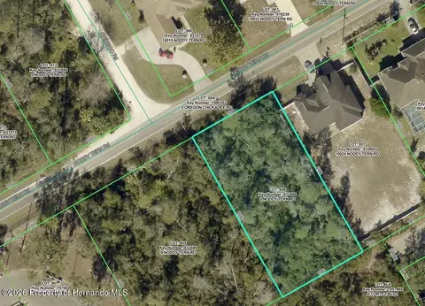 0 Noddy Tern Rd, Weeki Wachee, FL 34613