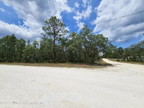 0 Song Sparrow Ave, Weeki Wachee, FL 34614