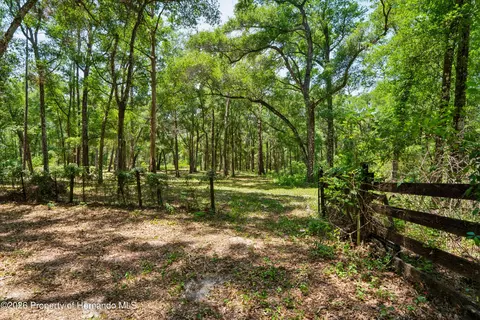 Exterior - 16225 Bonzai Trl, Spring Hill, FL 34613 photo 22 of 24