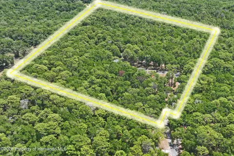 View/Area - 16225 Bonzai Trl, Spring Hill, FL 34613 photo 1 of 3