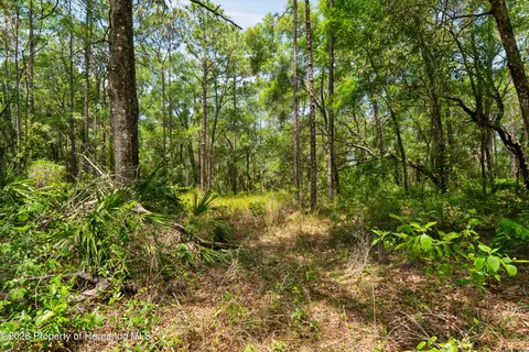 Other - 16225 Bonzai Trl, Spring Hill, FL 34613 photo 15 of 22