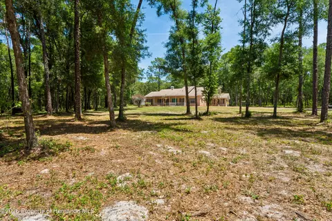 Exterior - 16225 Bonzai Trl, Spring Hill, FL 34613 photo 24 of 24