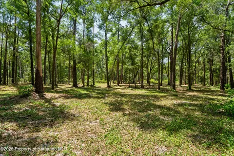 Other - 16225 Bonzai Trl, Spring Hill, FL 34613 photo 21 of 22