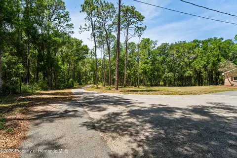 Other - 16225 Bonzai Trl, Spring Hill, FL 34613 photo 19 of 22