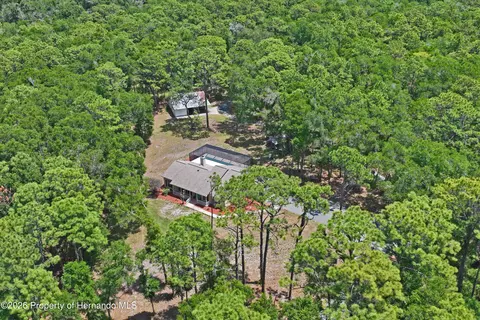 Other - 16225 Bonzai Trl, Spring Hill, FL 34613 photo 22 of 22