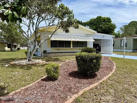8144 Ridge Dale Ave, Spring Hill, FL 34613