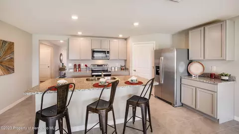 12646 Linden Dr, Spring Hill, FL 34609 photo 3