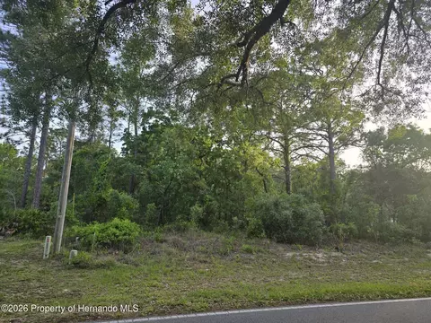 116 S Oak Village Blvd, Homosassa, FL 34446