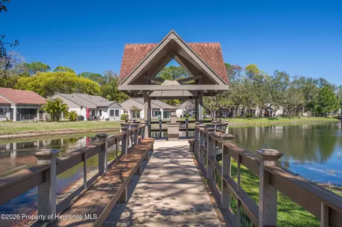 Other - 3072 Eagle Bend Rd, Spring Hill, FL 34606 photo 15 of 32
