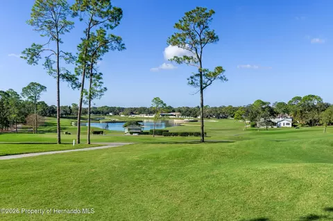 View/Area - 3072 Eagle Bend Rd, Spring Hill, FL 34606 photo 11 of 27