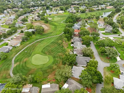 View/Area - 3072 Eagle Bend Rd, Spring Hill, FL 34606 photo 8 of 27
