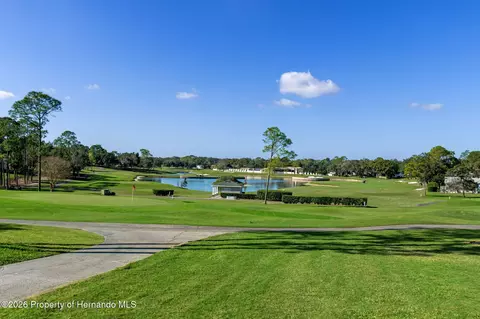 Other - 3072 Eagle Bend Rd, Spring Hill, FL 34606 photo 14 of 32