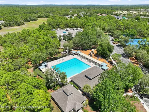 14331 Bensbrook Dr, Spring Hill, FL 34609 photo 50