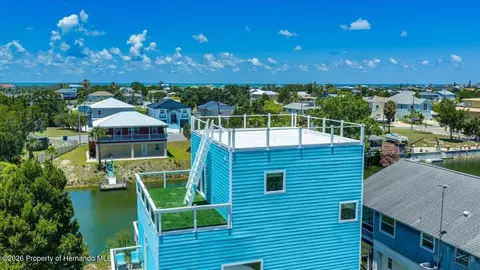 View/Area - 3185 Rose Arbor Dr, Hernando Beach, FL 34607 photo 3 of 12