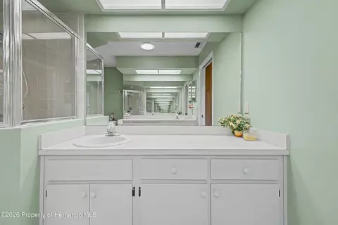 Bath - 2662 Appleleaf Ct, Spring Hill, FL 34606 photo 2 of 5