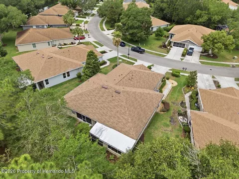View/Area - 15028 Silversmith Cir, Spring Hill, FL 34609 photo 2 of 12