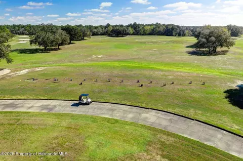 View/Area - 15028 Silversmith Cir, Spring Hill, FL 34609 photo 8 of 12