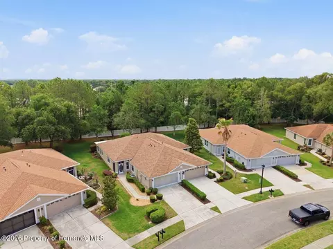 View/Area - 15028 Silversmith Cir, Spring Hill, FL 34609 photo 5 of 12