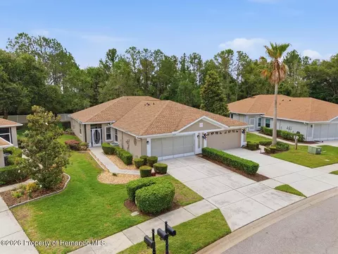 View/Area - 15028 Silversmith Cir, Spring Hill, FL 34609 photo 3 of 12