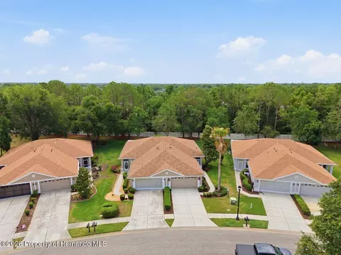 View/Area - 15028 Silversmith Cir, Spring Hill, FL 34609 photo 4 of 12