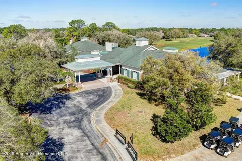 View/Area - 15028 Silversmith Cir, Spring Hill, FL 34609 photo 9 of 12