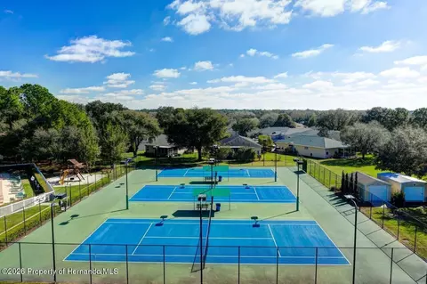 View/Area - 15028 Silversmith Cir, Spring Hill, FL 34609 photo 10 of 12