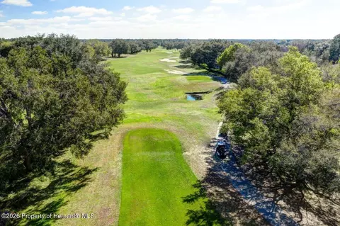 Other - 15028 Silversmith Cir, Spring Hill, FL 34609 photo 10 of 10