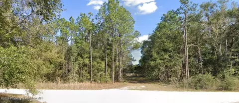 0 Cedarwood Ave, Weeki Wachee, FL 34614
