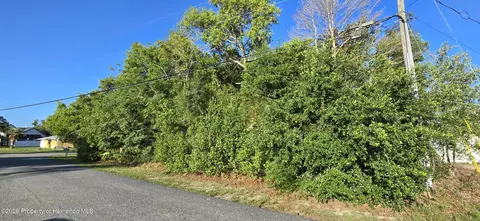 11121 Captain Dr, Spring Hill, FL 34608 photo 3