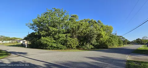 11121 Captain Dr, Spring Hill, FL 34608 photo 5