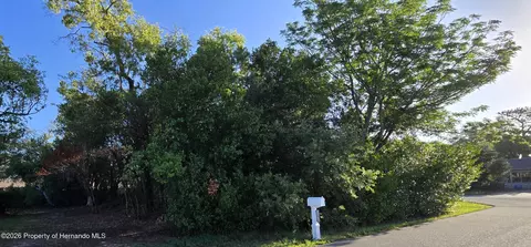 11121 Captain Dr, Spring Hill, FL 34608 photo 2