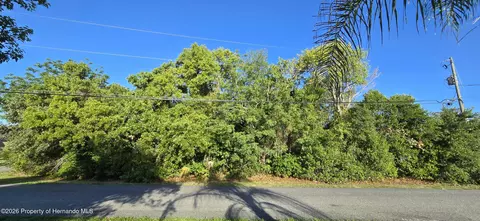 11121 Captain Dr, Spring Hill, FL 34608