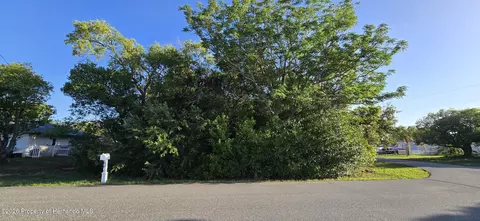 11121 Captain Dr, Spring Hill, FL 34608 photo 6