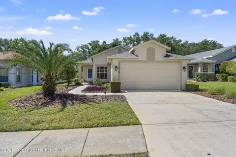 11078 Heathrow Ave, Spring Hill, FL 34609