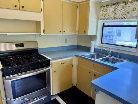 Other - 6848 Treehaven Dr, Spring Hill, FL 34606 photo 6 of 14