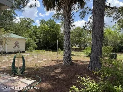 Exterior - 6848 Treehaven Dr, Spring Hill, FL 34606 photo 4 of 4