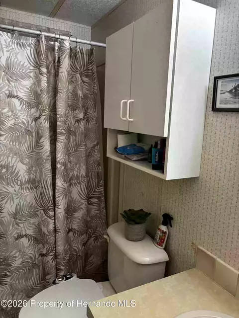 14311 Nectarine St, Spring Hill, FL 34613 photo 42