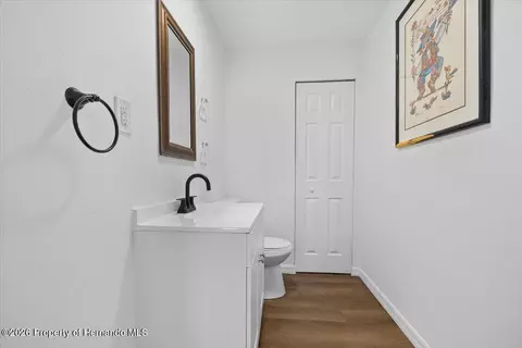 Other - 4225 Carlos Ct, Hernando Beach, FL 34607 photo 10 of 11