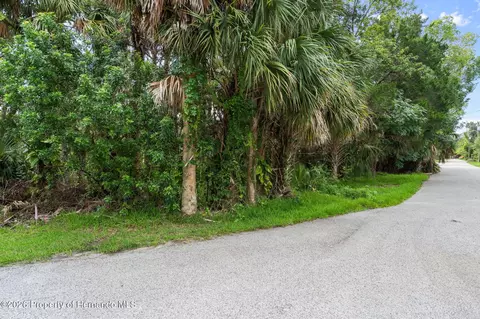 0 River Point Dr, Weeki Wachee, FL 34607