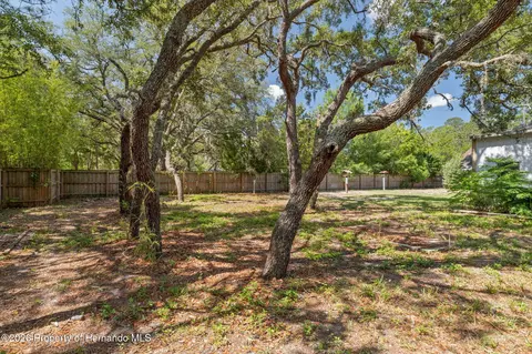 Exterior - 3394 Memory Ln, Spring Hill, FL 34606 photo 12 of 12