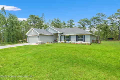 18336 Macek Rd, Weeki Wachee, FL 34614