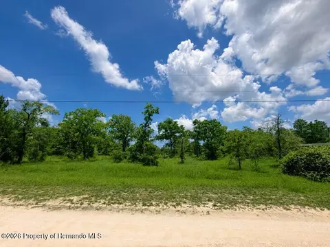 0 Fulmar Rd, Weeki Wachee, FL 34614