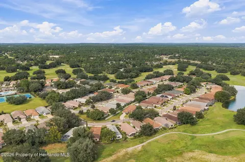 View/Area - 14458 Tamarind Loop, Spring Hill, FL 34609 photo 11 of 14