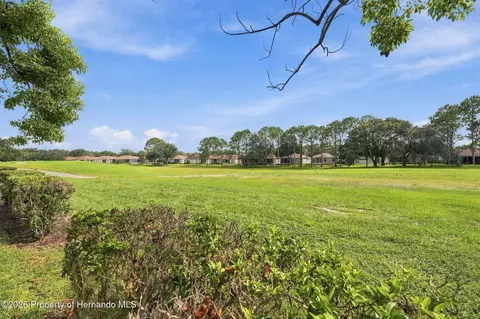 Exterior - 14458 Tamarind Loop, Spring Hill, FL 34609 photo 10 of 12