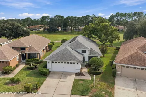 View/Area - 14458 Tamarind Loop, Spring Hill, FL 34609 photo 1 of 14