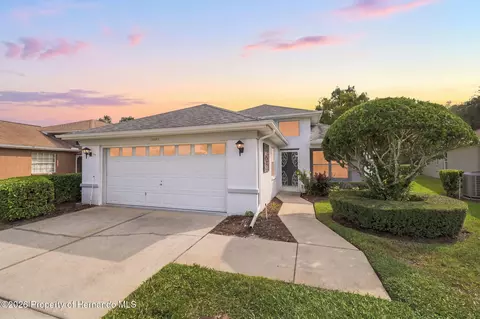 14458 Tamarind Loop, Spring Hill, FL 34609