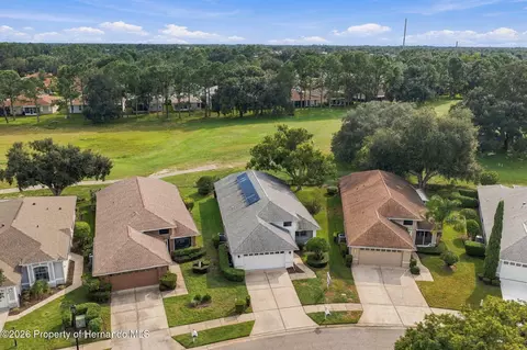 View/Area - 14458 Tamarind Loop, Spring Hill, FL 34609 photo 2 of 14