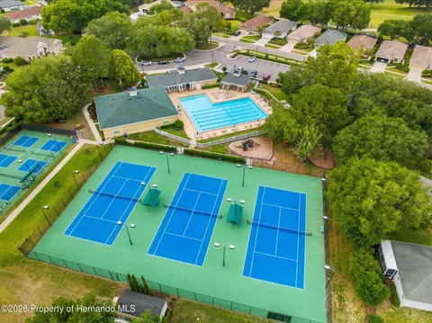 View/Area - 14458 Tamarind Loop, Spring Hill, FL 34609 photo 16 of 18