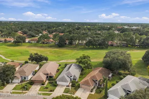 View/Area - 14458 Tamarind Loop, Spring Hill, FL 34609 photo 12 of 14
