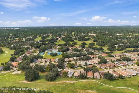 View/Area - 14458 Tamarind Loop, Spring Hill, FL 34609 photo 10 of 14